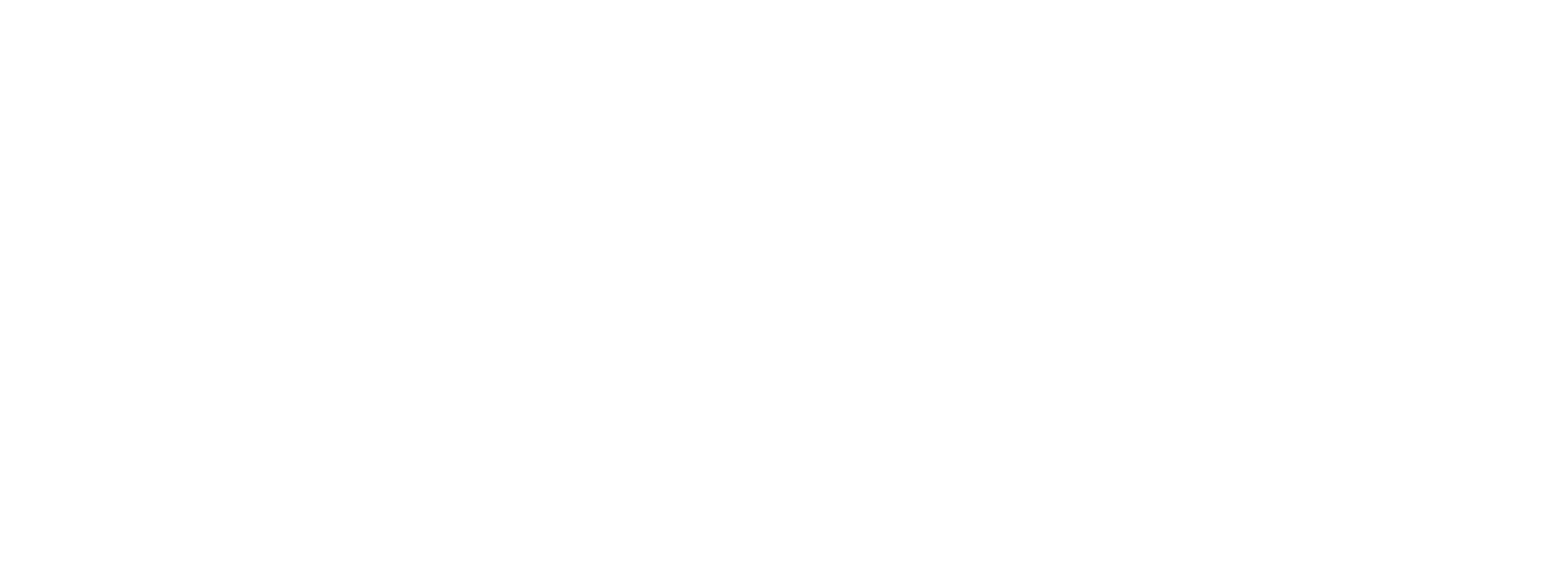 Japbusi Logo